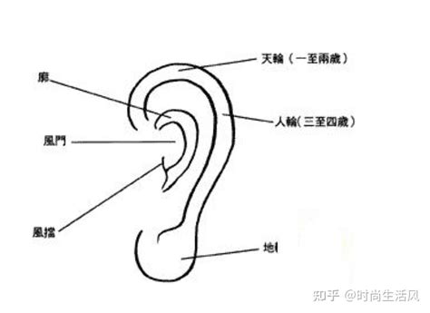 耳廓上有痣|耳朵上面长痣